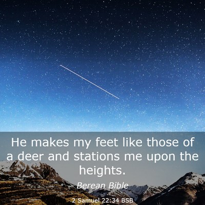Picture 03 - 2 Samuel 22:34 BSB - He makes my feet like those of a deer and - Bible Verse Picture