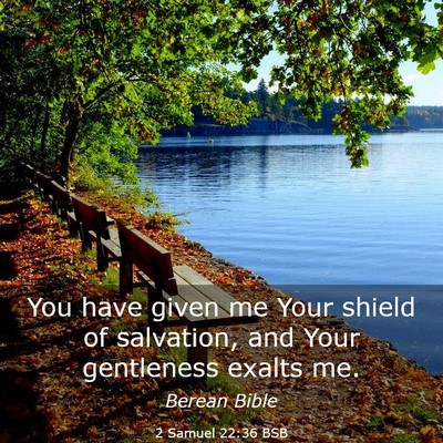 Picture 03 - 2 Samuel 22:36 BSB - You have given me Your shield of salvation, and - Bible Verse Picture