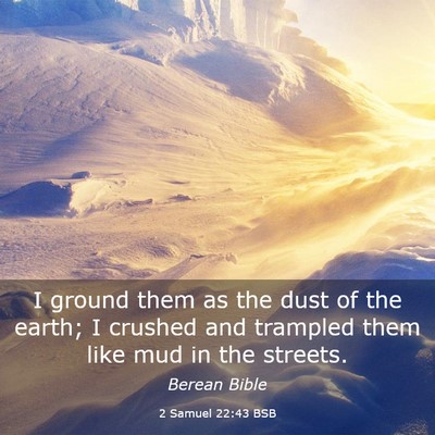 Picture 03 - 2 Samuel 22:43 BSB - I ground them as the dust of the earth; I crushed - Bible Verse Picture