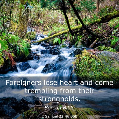 Picture 03 - 2 Samuel 22:46 BSB - Foreigners lose heart and come trembling from - Bible Verse Picture