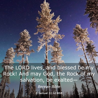 Picture 03 - 2 Samuel 22:47 BSB - The LORD lives, and blessed be my Rock! And may - Bible Verse Picture