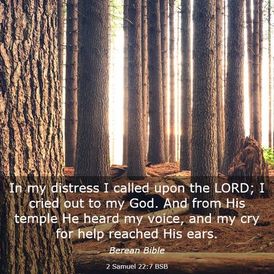 Picture 03 - 2 Samuel 22:7 BSB - In my distress I called upon the LORD; I cried - Bible Verse Picture