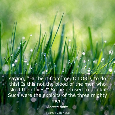 Picture 03 - 2 Samuel 23:17 BSB - saying, “Far be it from me, O LORD, to do this! - Bible Verse Picture
