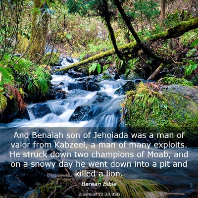 Picture 03 - 2 Samuel 23:20 BSB - And Benaiah son of Jehoiada was a man of valor - Bible Verse Picture