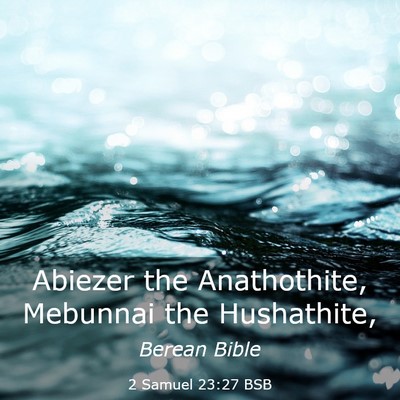 Picture 03 - 2 Samuel 23:27 BSB - Abiezer the Anathothite, Mebunnai the - Bible Verse Picture