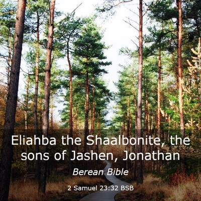 Picture 03 - 2 Samuel 23:32 BSB - Eliahba the Shaalbonite, the sons of Jashen, - Bible Verse Picture