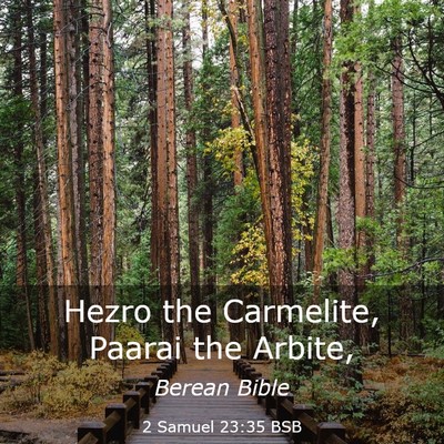 Picture 03 - 2 Samuel 23:35 BSB - Hezro the Carmelite, Paarai the - Bible Verse Picture