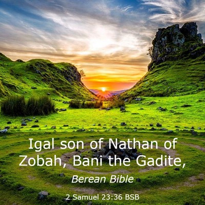 Picture 03 - 2 Samuel 23:36 BSB - Igal son of Nathan of Zobah, Bani the - Bible Verse Picture