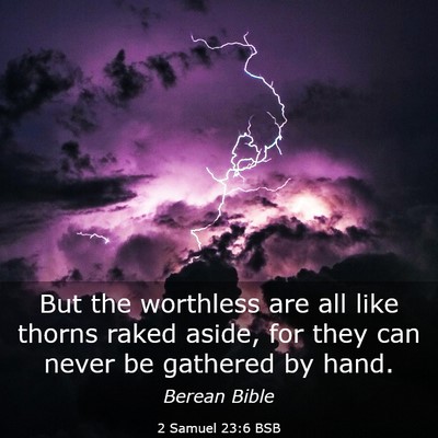 Picture 03 - 2 Samuel 23:6 BSB - But the worthless are all like thorns raked - Bible Verse Picture