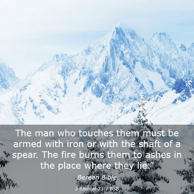 Picture 03 - 2 Samuel 23:7 BSB - The man who touches them must be armed with iron - Bible Verse Picture