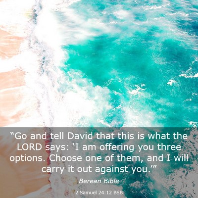 Picture 03 - 2 Samuel 24:12 BSB - “Go and tell David that this is what the LORD - Bible Verse Picture