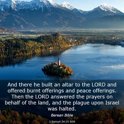 Picture 03 - 2 Samuel 24:25 BSB - And there he built an altar to the LORD and - Bible Verse Picture