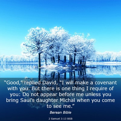 Picture 03 - 2 Samuel 3:13 BSB - “Good,” replied David, “I will make a - Bible Verse Picture