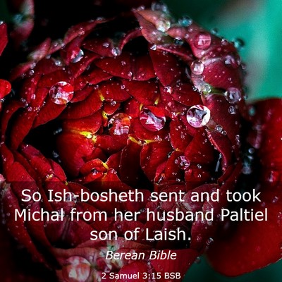 Picture 03 - 2 Samuel 3:15 BSB - So Ish-bosheth sent and took Michal from her - Bible Verse Picture