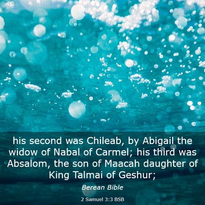 Picture 03 - 2 Samuel 3:3 BSB - his second was Chileab, by Abigail the widow of - Bible Verse Picture