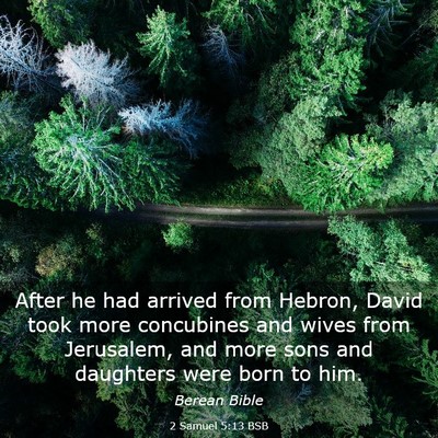 Picture 03 - 2 Samuel 5:13 BSB - After he had arrived from Hebron, David took more - Bible Verse Picture