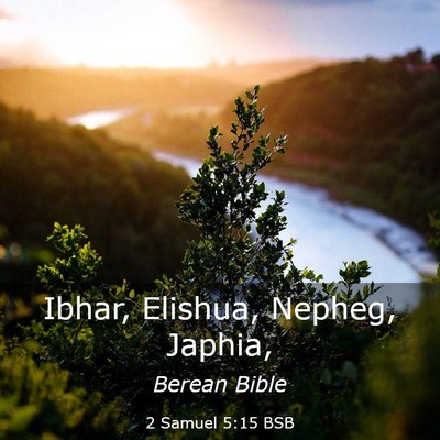 Picture 03 - 2 Samuel 5:15 BSB - Ibhar, Elishua, Nepheg, - Bible Verse Picture