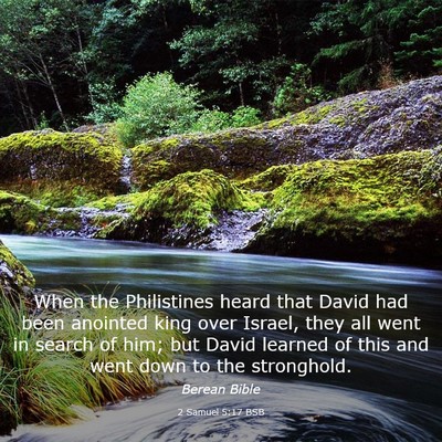 Picture 03 - 2 Samuel 5:17 BSB - When the Philistines heard that David had been - Bible Verse Picture