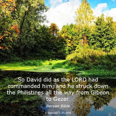 Picture 03 - 2 Samuel 5:25 BSB - So David did as the LORD had commanded him, and - Bible Verse Picture
