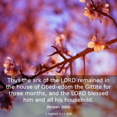 Picture 03 - 2 Samuel 6:11 BSB - Thus the ark of the LORD remained in the house of - Bible Verse Picture