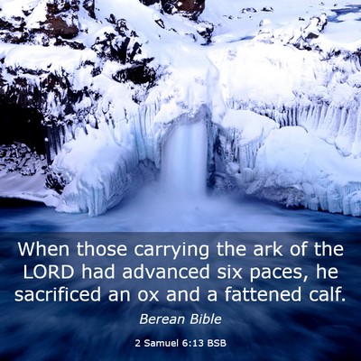 Picture 03 - 2 Samuel 6:13 BSB - When those carrying the ark of the LORD had - Bible Verse Picture