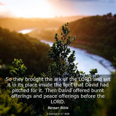 Picture 03 - 2 Samuel 6:17 BSB - So they brought the ark of the LORD and set it in - Bible Verse Picture