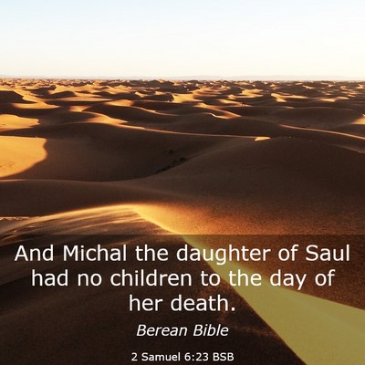 Picture 03 - 2 Samuel 6:23 BSB - And Michal the daughter of Saul had no children - Bible Verse Picture