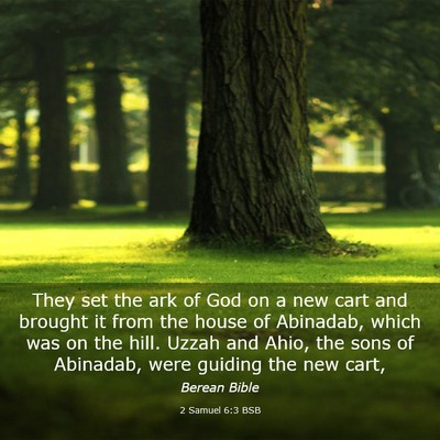 Picture 03 - 2 Samuel 6:3 BSB - They set the ark of God on a new cart and brought - Bible Verse Picture