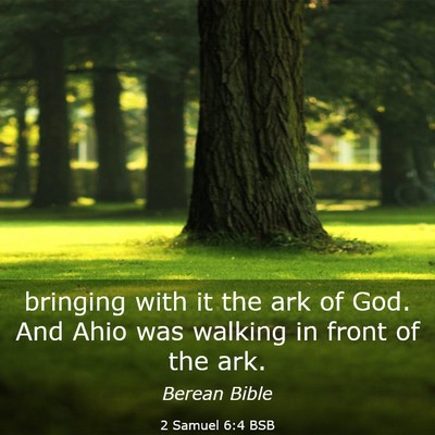 Picture 03 - 2 Samuel 6:4 BSB - bringing with it the ark of God. And Ahio was - Bible Verse Picture