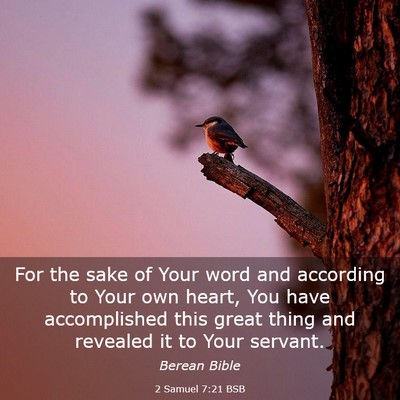 Picture 03 - 2 Samuel 7:21 BSB - For the sake of Your word and according to Your - Bible Verse Picture