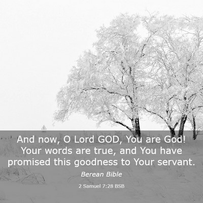 Picture 03 - 2 Samuel 7:28 BSB - And now, O Lord GOD, You are God! Your words are - Bible Verse Picture