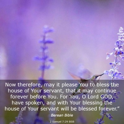 Picture 03 - 2 Samuel 7:29 BSB - Now therefore, may it please You to bless the - Bible Verse Picture