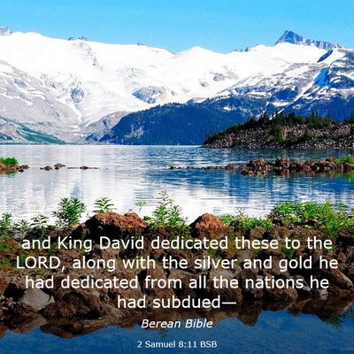 Picture 03 - 2 Samuel 8:11 BSB - and King David dedicated these to the LORD, along - Bible Verse Picture