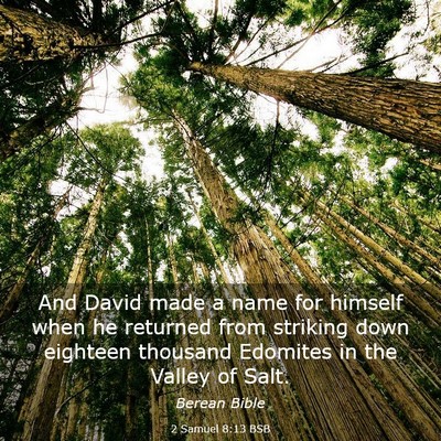 Picture 03 - 2 Samuel 8:13 BSB - And David made a name for himself when he - Bible Verse Picture