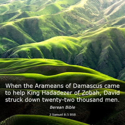 Picture 03 - 2 Samuel 8:5 BSB - When the Arameans of Damascus came to help King - Bible Verse Picture