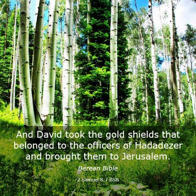 Picture 03 - 2 Samuel 8:7 BSB - And David took the gold shields that belonged to - Bible Verse Picture