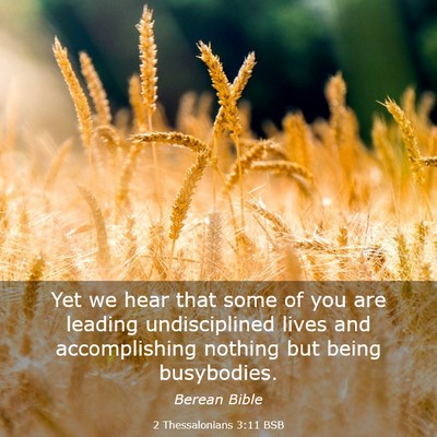Picture 03 - 2 Thessalonians 3:11 BSB - Yet we hear that some of you are leading - Bible Verse Picture