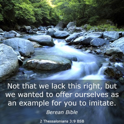 Picture 03 - 2 Thessalonians 3:9 BSB - Not that we lack this right, but we wanted to - Bible Verse Picture