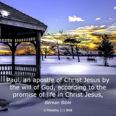 Picture 03 - 2 Timothy 1:1 BSB - Paul, an apostle of Christ Jesus by the will of - Bible Verse Picture