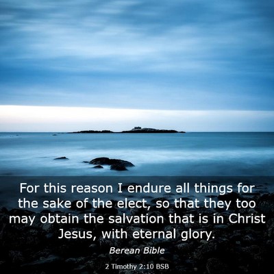 Picture 03 - 2 Timothy 2:10 BSB - For this reason I endure all things for the sake - Bible Verse Picture