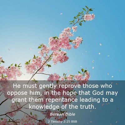 Picture 03 - 2 Timothy 2:25 BSB - He must gently reprove those who oppose him, in - Bible Verse Picture