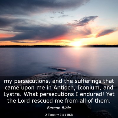 Picture 03 - 2 Timothy 3:11 BSB - my persecutions, and the sufferings that came - Bible Verse Picture