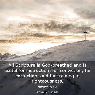 Picture 03 - 2 Timothy 3:16 BSB - All Scripture is God-breathed and is useful for - Bible Verse Picture