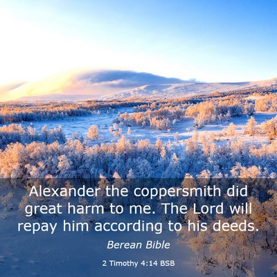 Picture 03 - 2 Timothy 4:14 BSB - Alexander the coppersmith did great harm to me. - Bible Verse Picture