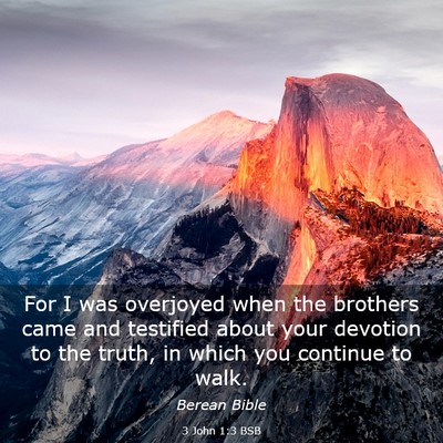 Picture 03 - 3 John 1:3 BSB - For I was overjoyed when the brothers came and - Bible Verse Picture