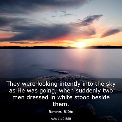 Picture 03 - Acts 1:10 BSB - They were looking intently into the sky as He was - Bible Verse Picture
