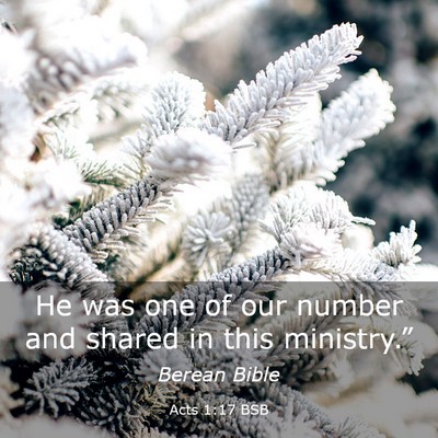 Picture 03 - Acts 1:17 BSB - He was one of our number and shared in this - Bible Verse Picture