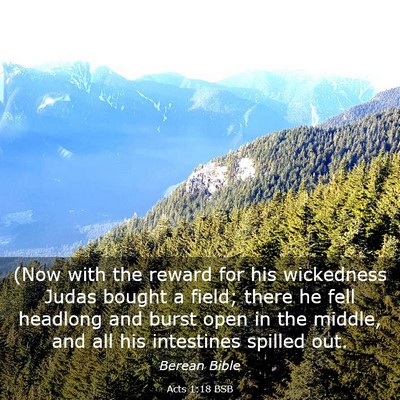 Picture 03 - Acts 1:18 BSB - (Now with the reward for his wickedness Judas - Bible Verse Picture