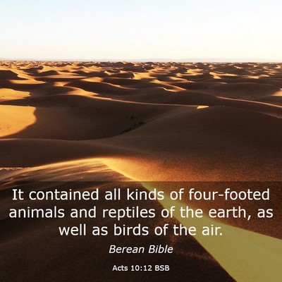 Picture 03 - Acts 10:12 BSB - It contained all kinds of four-footed animals and - Bible Verse Picture