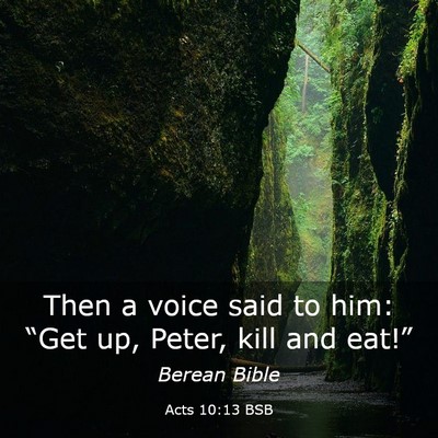 Picture 03 - Acts 10:13 BSB - Then a voice said to him: “Get up, Peter, kill - Bible Verse Picture